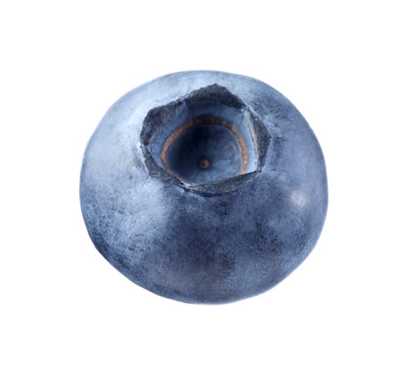 One fresh ripe blueberry isolated on whiteの写真素材