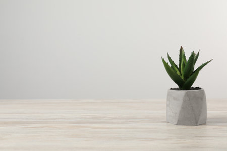Beautiful artificial plant in flower pot on wooden table against light gray background, space for textの写真素材