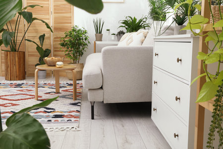Stylish room with comfortable sofa, coffee table, chest of drawers and beautiful houseplants. Interior designの写真素材