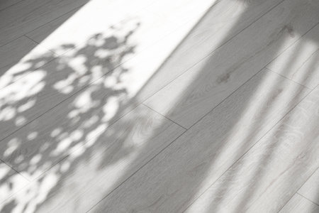 Shadow from window, curtains and houseplant on white laminated floorの写真素材