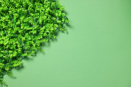 Green artificial plants on color background, top view. Space for textの写真素材