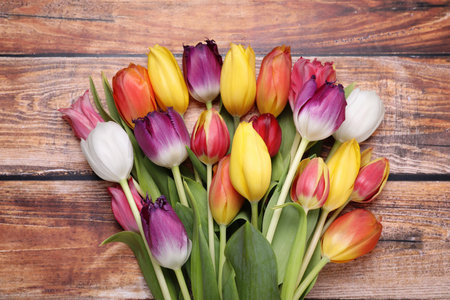 Beautiful colorful tulip flowers on wooden table, top viewの写真素材