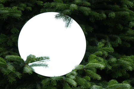 Round mirror among fir branches reflecting beautiful sky and twigs. Space for text
