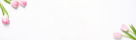 Beautiful pink tulips on white background, flat lay. Banner design with space for textの写真素材