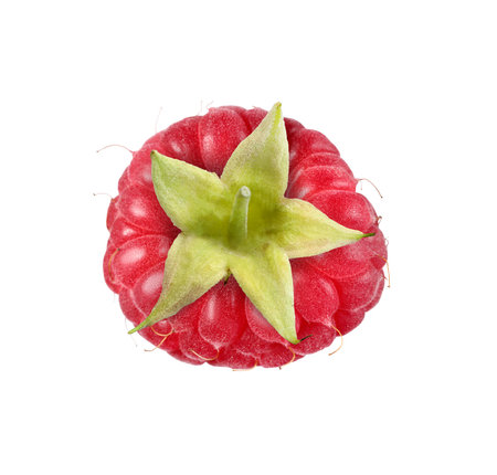 One tasty fresh raspberry isolated on white