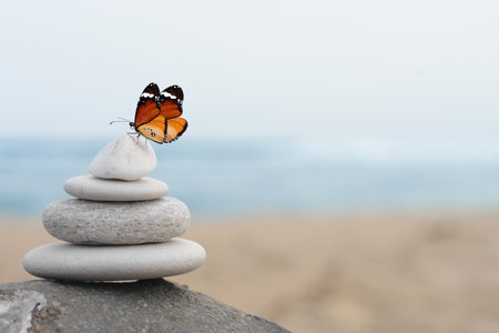Peace and harmony. Stacked pebbles on sand and beautiful butterfly near sea, space for textの写真素材