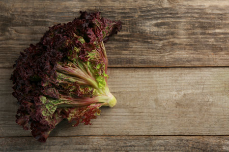Fresh red coral lettuce on wooden table, top view. Space for text