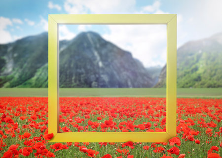 Wooden frame and beautiful poppy meadow near mountainsの写真素材