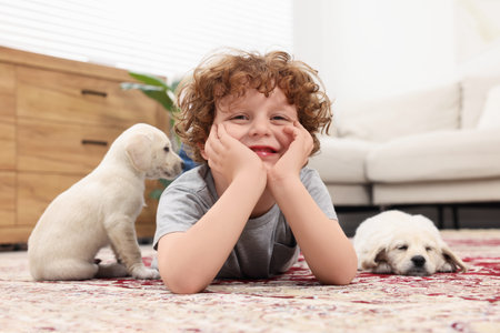 Little boy with cute puppies on carpet at homeの写真素材