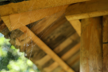 Cobweb on wooden building outdoors, closeup. Space for textの写真素材