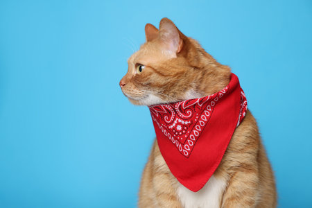 Cute ginger cat with bandana on light blue background, space for text. Adorable pet