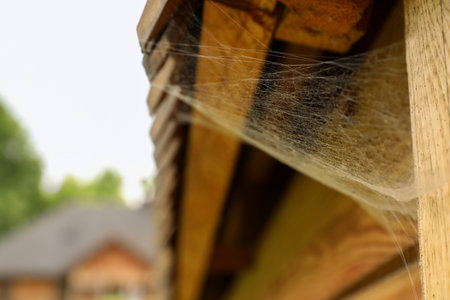 Cobweb on wooden building outdoors, closeup. Space for textの写真素材