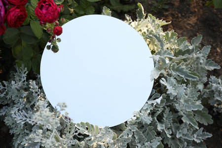 Round mirror among plants and flowers reflecting sky, top viewの写真素材