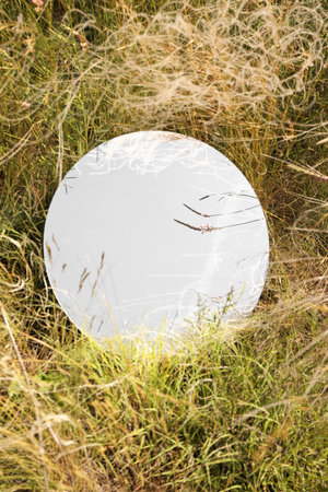 Spring atmosphere. Round mirror among grass and spikelets on sunny day, top view