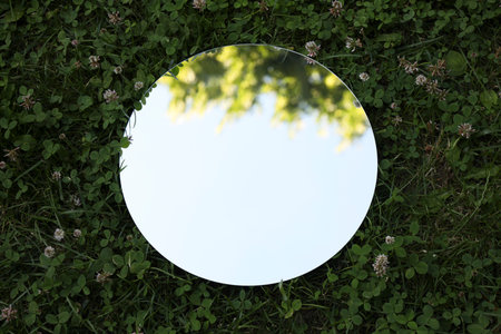 Round mirror among clovers reflecting tree and sky, above viewの写真素材