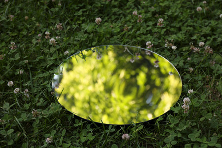 Round mirror among clovers reflecting tree leavesの写真素材