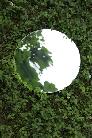 Round mirror among clovers reflecting tree and sky, top viewの写真素材