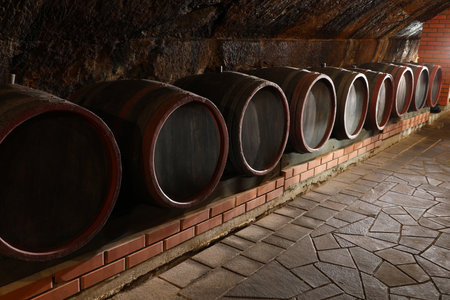 Many wooden barrels with alcohol drinks in cellarの写真素材