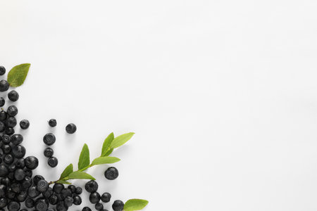 Ripe bilberries and sprig with leaves on white background, flat lay. Space for textの写真素材