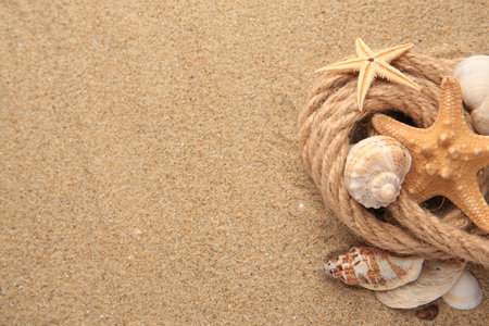 Beautiful sea stars, shells and rope on sand, flat lay. Space for textの写真素材