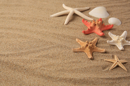 Beautiful sea stars and shells on sand, space for textの写真素材