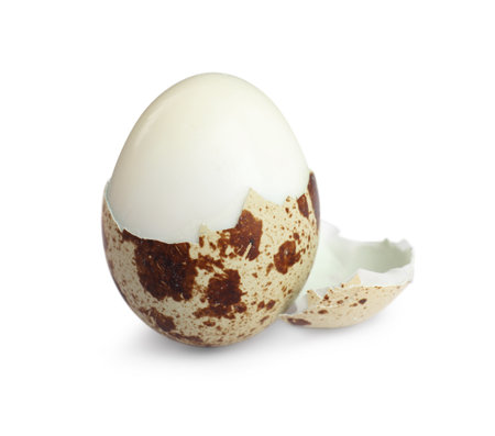 Boiled quail egg and pieces of shell isolated on whiteの写真素材
