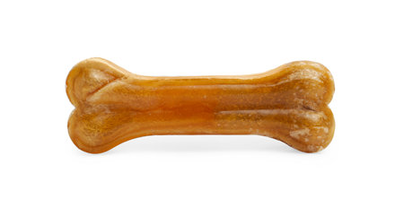 One bone dog treat on white background