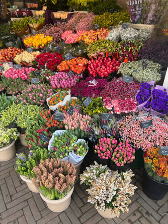 Many different flowers in floral shop outdoorsの写真素材