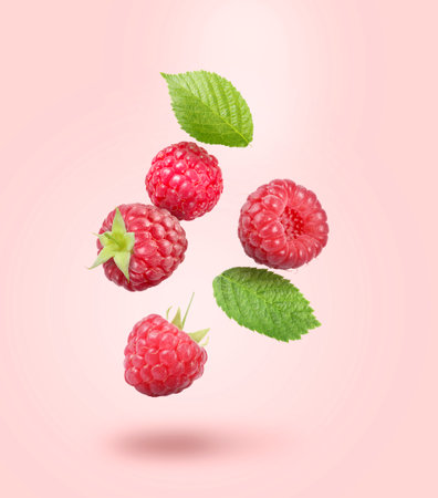 Many fresh ripe raspberries and green leaves falling on pastel pink backgroundの写真素材