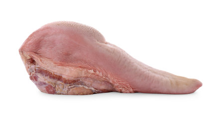 One raw beef tongue isolated on whiteの写真素材