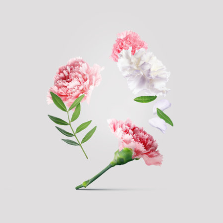 Beautiful flowers and green leaves falling on pastel gray backgroundの写真素材