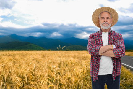 Confident farmer with crossed arms in field. Harvesting seasonの写真素材