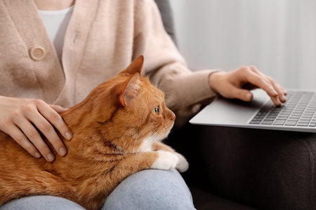 Woman with cat working at home, closeupの写真素材