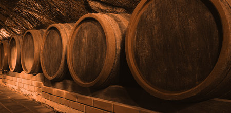 Many wooden barrels in cellar, banner design