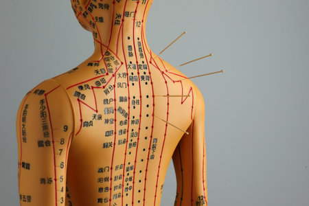 Acupuncture - alternative medicine. Human model with needles in shoulder against gray backgroundの写真素材