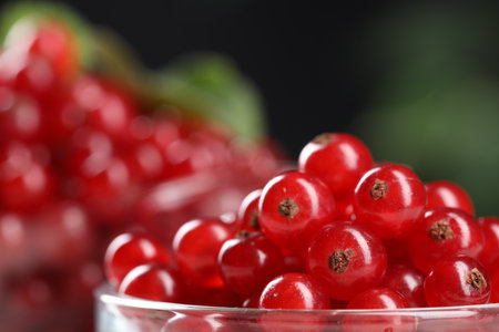 Many ripe red currents on blurred background, closeup. Space for text
