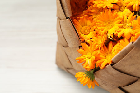 Beautiful calendula flowers in wicker bag on white table, closeup. Space for textの写真素材