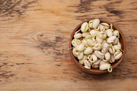 Sprouted kidney beans in bowl on wooden table, top view. Space for textの写真素材