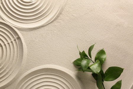 Beautiful patterns and plant on sand, top view with space for text. Zen gardenの写真素材