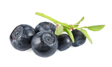 Delicious ripe bilberries and green leaves isolated on whiteの写真素材