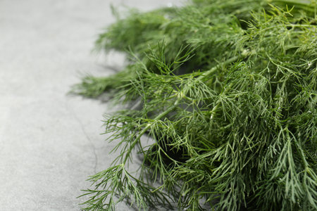 Fresh green dill on light gray table, closeup. Space for textの写真素材