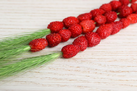 Grass stems with wild strawberries on white wooden table, closeupの写真素材