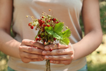Woman holding bunch with fresh wild strawberries on blurred background, closeupの写真素材