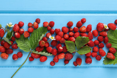 Fresh wild strawberries, flowers and leaves on light blue wooden table, flat layの写真素材