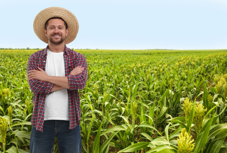 Confident farmer with crossed arms in field. Harvesting season
