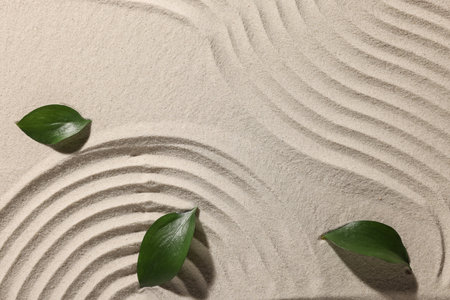 Beautiful patterns and leaves on sand, top view. Zen gardenの写真素材
