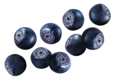 Many fresh ripe blueberries flying on white backgroundの写真素材