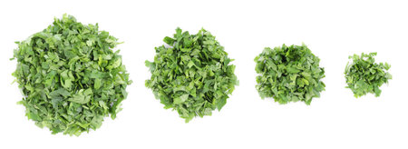 Set with heaps of cut parsley isolated on white, top viewの写真素材