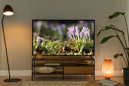 Small flowers on TV screen in roomの写真素材