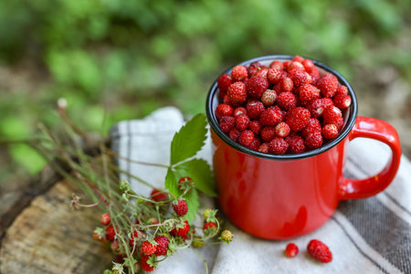 Mug and tasty wild strawberries on stump against blurred background, closeupの写真素材